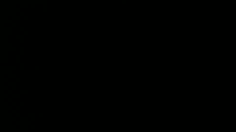 taylorsguy online show from May 8, 2:39 am