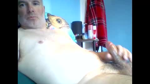 tazo78 online show from November 9, 12:58 pm