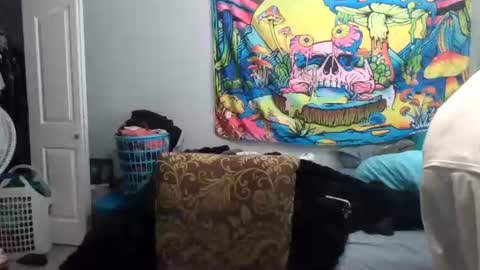 tehkie online show from June 24, 11:48 pm