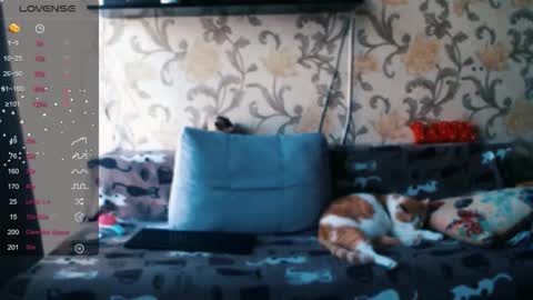 Ada  online show from December 19, 9:38 am