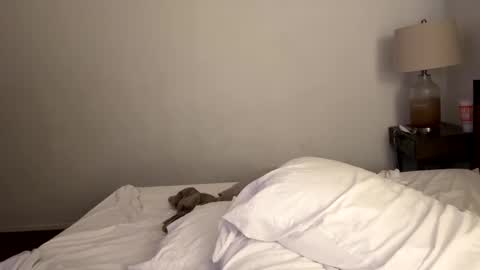 Snapshot of tennman6086 chatting on February 4, 2:43 pm Tennman online show from February 4, 2:43 pm