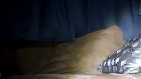 Snapshot of texasfried chatting on January 29, 7:46 am MauiMinded808 online show from January 29, 7:46 am