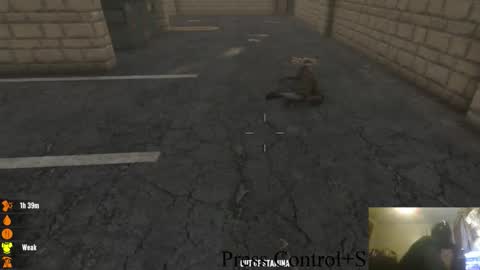 . online show from October 28, 1:42 am