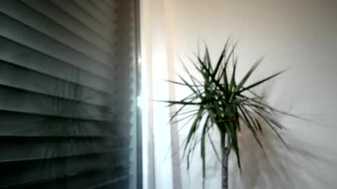 Snapshot of tger2024 chatting on November 3, 3:57 pm tger2024 online show from November 3, 3:57 pm