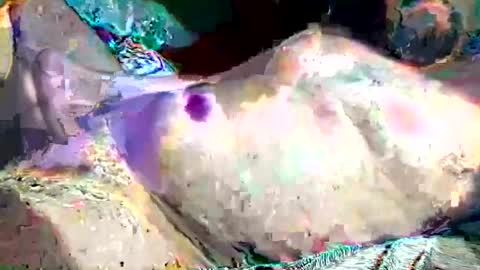 th3darksideofthemoon online show from February 26, 2:15 am