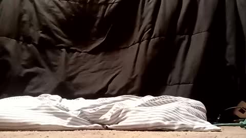 Snapshot of thatb1 chatting on September 28, 5:13 am thatb1 online show from September 28, 5:13 am