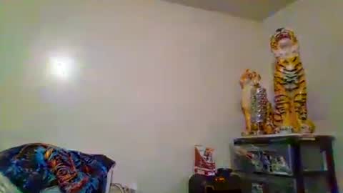 thatgirl4201 online show from November 15, 5:27 am