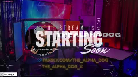 Snapshot of the_alpha_dog_xxx chatting on June 29, 3:23 pm the_alpha_dog_xxx online show from June 29, 3:23 pm