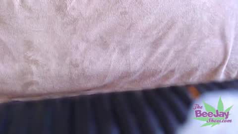 TheBeeJayShow online show from December 4, 3:43 pm