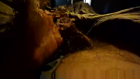 thebest153 online show from April 3, 2:26 pm