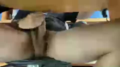 thecamenjoyer24 online show from June 12, 12:26 pm