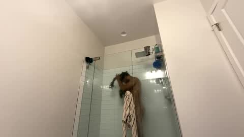 Snapshot of theekingcapo chatting on December 26, 10:52 pm king capo thee online show from December 26, 10:52 pm