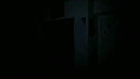 Snapshot of theguyss678 chatting on January 14, 1:04 am Arching4Life online show from January 14, 1:04 am