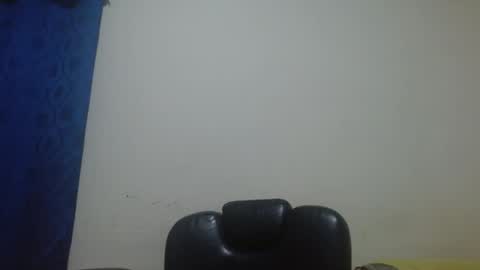 thehousedog online show from April 28, 11:37 am
