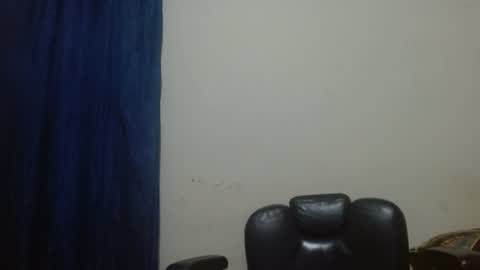 thehousedog online show from July 16, 1:28 pm