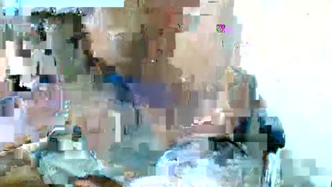 thehousedog online show from August 6, 2:24 am