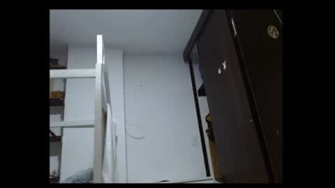 thehousedog online show from August 8, 2:47 am