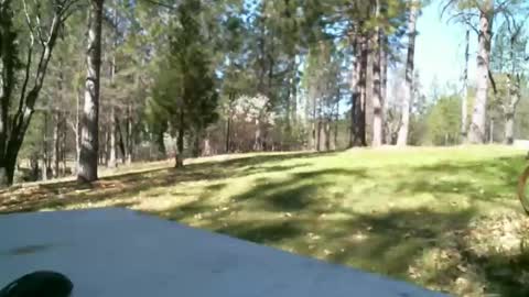 Daisy and Tim online show from March 19, 6:12 pm