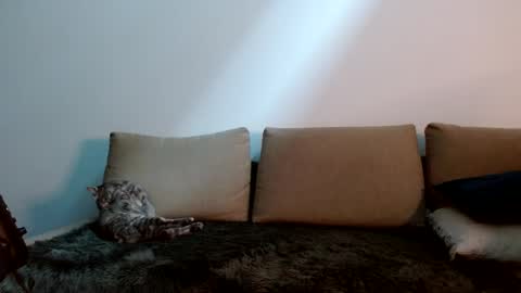 Yoshi online show from January 11, 9:25 pm