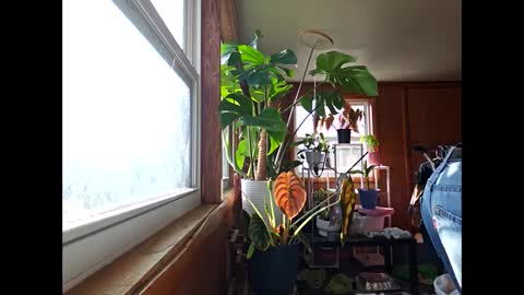 therizzler_1_of_1 online show from December 17, 3:49 pm