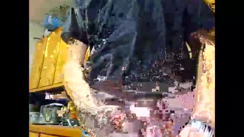 therizzler_1_of_1 online show from October 22, 4:35 am