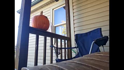 therizzler_1_of_1 online show from October 22, 7:57 pm