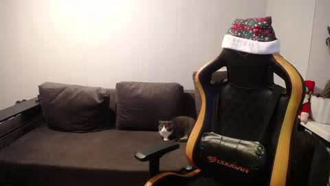 Nick   online show from December 27, 3:59 pm