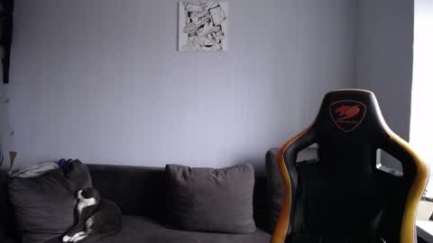 Nick   online show from November 19, 8:58 am