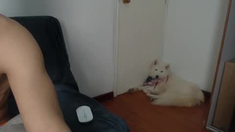 thesaint_xxx online show from November 8, 8:07 pm