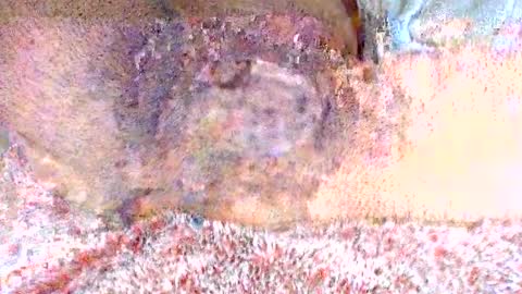 Snapshot of thetightestass14 chatting on February 20, 8:36 pm thetightestass14 online show from February 20, 8:36 pm