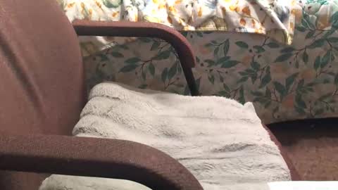 thetnguy online show from April 20, 12:46 am