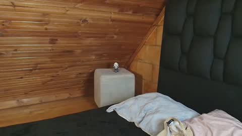 thiago_n_sam online show from November 1, 12:01 am