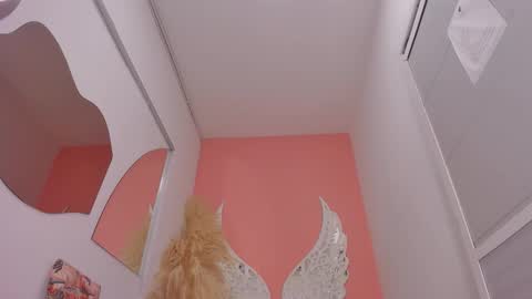 Lexxy online show from February 2, 11:53 am