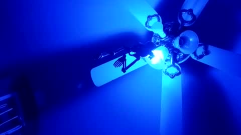 Snapshot of thickambr chatting on February 5, 12:21 pm Thickamber online show from February 5, 12:21 pm