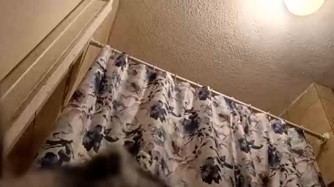 Snapshot of thickambr chatting on March 20, 10:53 am Thickamber online show from March 20, 10:53 am