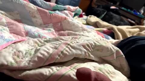 Snapshot of thickdic44 chatting on February 12, 6:40 pm thickdic44 online show from February 12, 6:40 pm