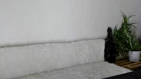 Snapshot of thief_of_hearts_ chatting on November 26, 9:54 am thief_of_hearts_ online show from November 26, 9:54 am