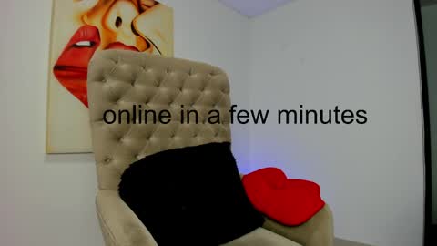 Snapshot of tiago_hannah chatting on April 17, 8:28 am carolina online show from April 17, 8:28 am