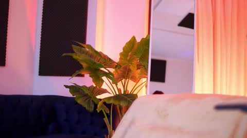 Tiff online show from March 1, 4:14 am