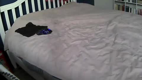 tigerek_i_m online show from February 11, 7:12 am