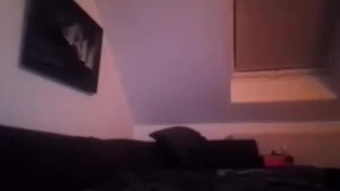 tigertrance online show from November 17, 1:55 am