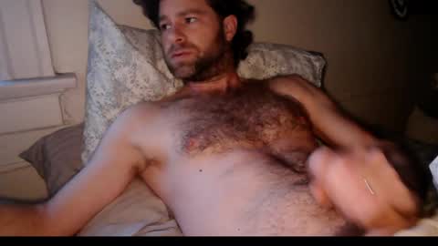 Snapshot of tigerzaddy chatting on February 2, 2:16 pm tigerzaddy online show from February 2, 2:16 pm