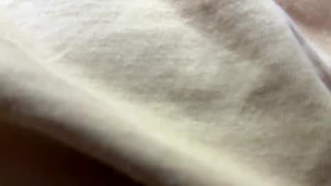 Snapshot of timber2255 chatting on October 31, 2:07 pm timber2255 online show from October 31, 2:07 pm