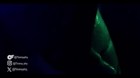 timmyshy online show from November 22, 9:14 pm