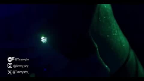 timmyshy online show from January 17, 10:02 pm