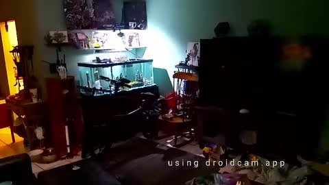 Snapshot of tinalover4u2 chatting on November 17, 6:35 pm tinalover4u2 online show from November 17, 6:35 pm