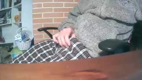 tisis80 online show from November 25, 8:47 am