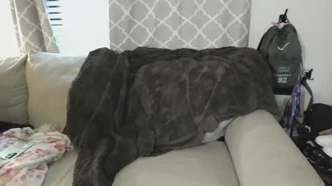 Snapshot of tittee_mcgee chatting on September 19, 6:41 pm tittee mcgee online show from September 19, 6:41 pm