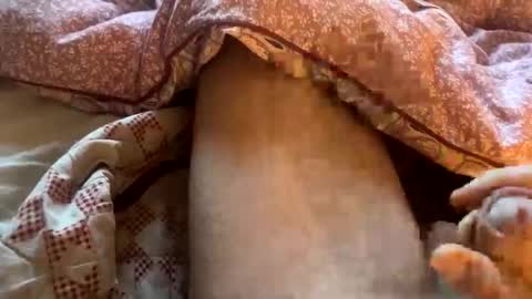 Snapshot of tliverth chatting on November 28, 7:11 am tliverth online show from November 28, 7:11 am