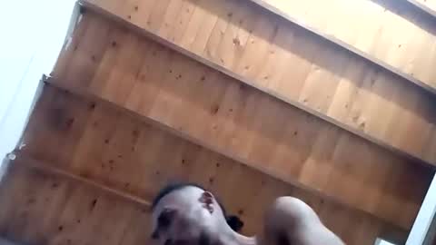 Snapshot of tnptlhvgyqcy chatting on November 1, 5:20 am DESTROY.S online show from November 1, 5:20 am